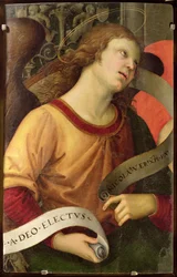 Ange, du polyptyque de Saint Nicolas de Tolentino, 1501